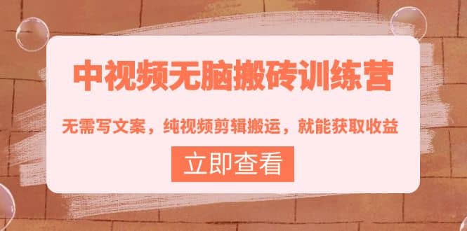 中视频无脑搬砖训练营：无需写文案，纯视频剪辑搬运，就能获取收益-金创谷