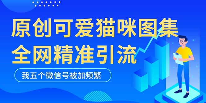 黑科技纯原创可爱猫咪图片，全网精准引流，实操5个VX号被加频繁-金创谷