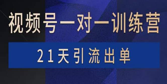 视频号训练营：带货，涨粉，直播，游戏，四大变现新方向，21天引流出单-金创谷