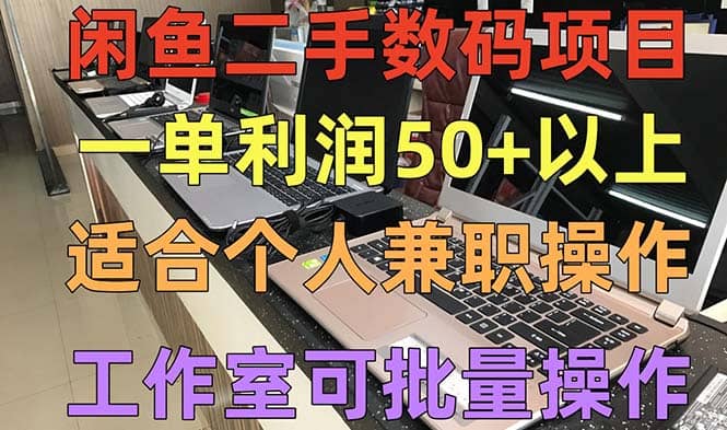 闲鱼二手数码项目，个人副业低保收入，工作室批量放大操作-金创谷
