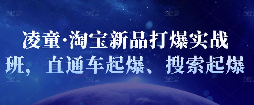 凌童·淘宝新品打爆实战班，直通车起爆、搜索起爆-金创谷