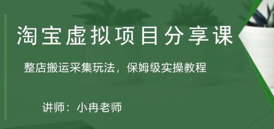 淘宝虚拟整店搬运采集玩法分享课：整店搬运采集玩法，保姆级实操教程-金创谷