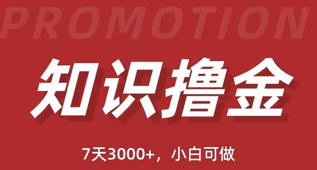 抖音知识撸金项目：执行力强当天见收益(教程+资料)-金创谷