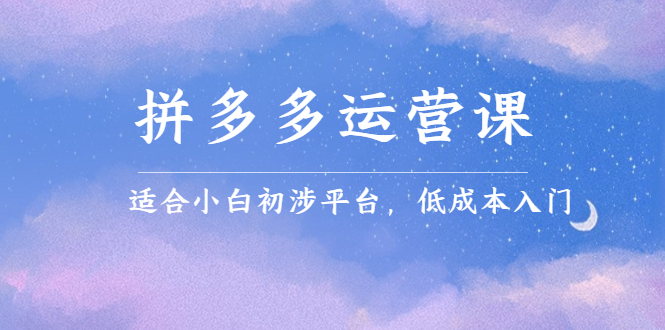 拼多多运营课，适合小白初涉平台，低成本入门-金创谷