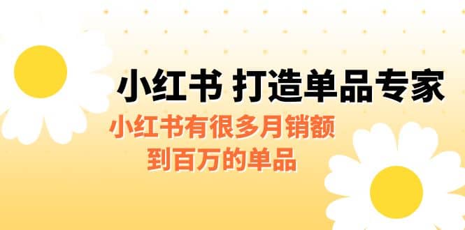 某公众号付费文章《小红书 打造单品专家》小红书有很多月销额到百万的单品-金创谷