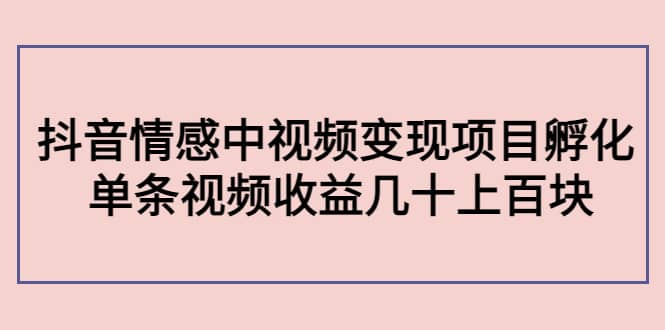 抖音情感中视频变现项目孵化-金创谷