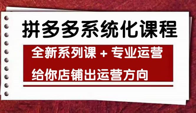 车神陪跑，拼多多系统化课程，全新系列课+专业运营给你店铺出运营方向-金创谷
