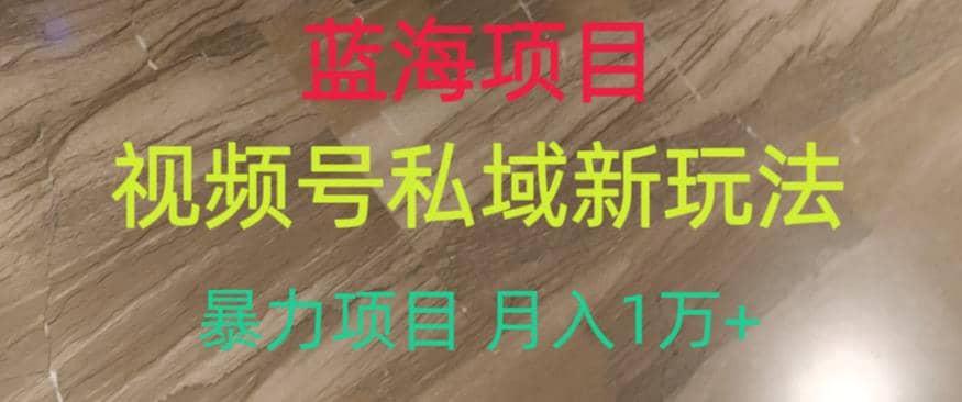 蓝海项目，视频号私域新玩法，暴力项目月入1万+【揭秘】-金创谷