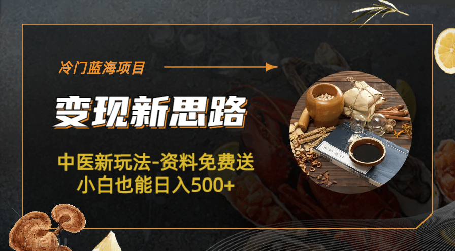 冷门蓝海项目-中医新玩法-冷门蓝海项目-中医新玩法-资料免费送小白也能日入500+500+-金创谷