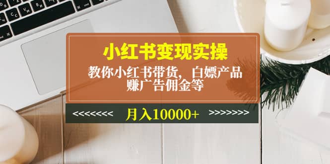 小红书变现实操：教你小红书带货，白嫖产品，赚广告佣金等-金创谷