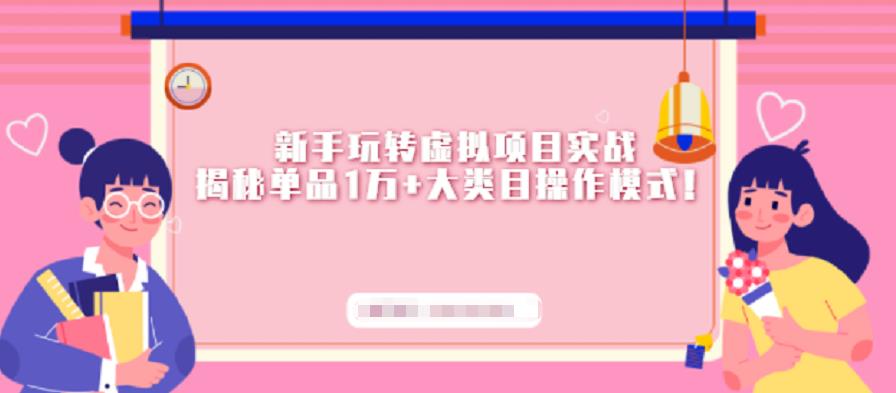 新手玩转虚拟项目实战，揭秘单品1万+大类目操作模式【视频课程】-金创谷