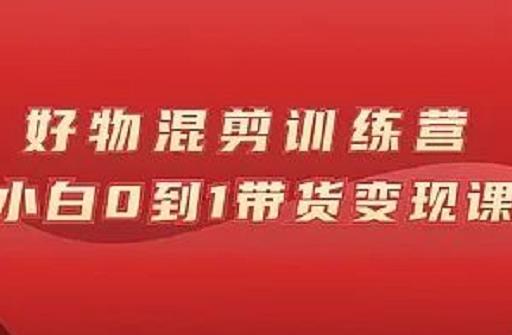 万三好物混剪训练营：小白0到1带货变现课-金创谷