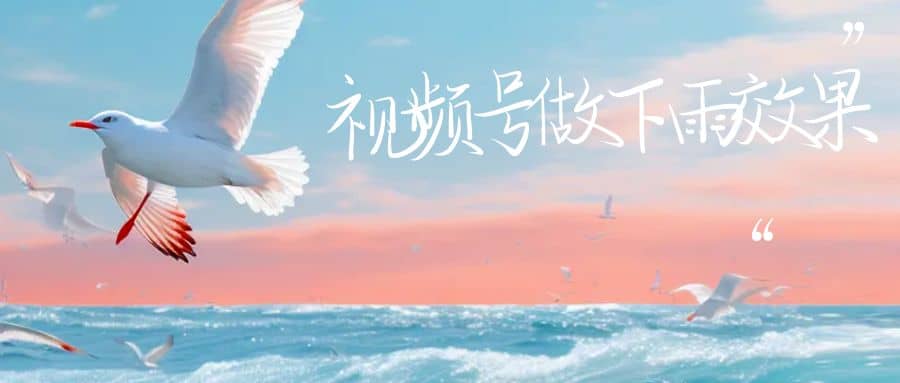视频号做下雨视频一个账号一周涨粉10W+年入100w-金创谷