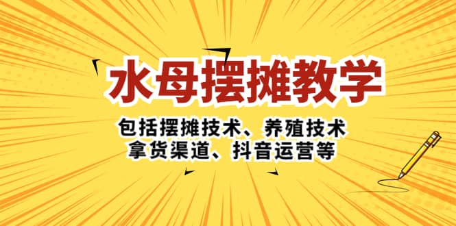 水母·摆摊教学，包括摆摊技术、养殖技术、拿货渠道、抖音运营等-金创谷