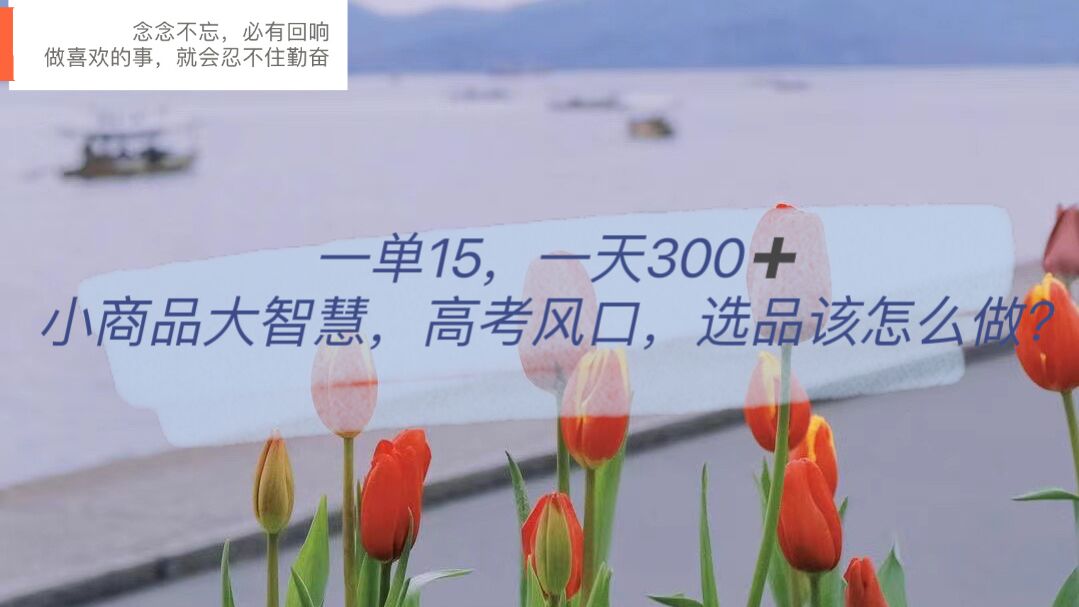 一单15，一天300+，小商品大智慧，高考风口，选品该怎么布局-金创谷