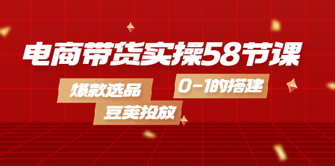 电商带货实操58节课，爆款选品，豆荚投放，0-1的搭建-金创谷