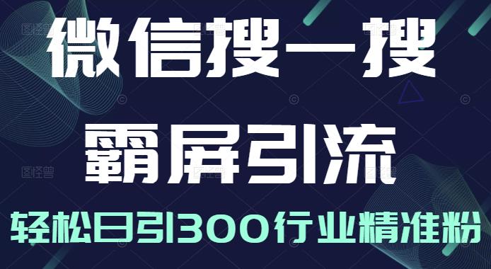微信搜一搜霸屏引流课，打造被动精准引流系统，轻松日引300行业精准粉【无水印】-金创谷