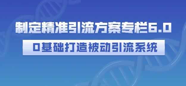 制定精准引流方案专栏6.0，0基础打造被动引流系统-金创谷
