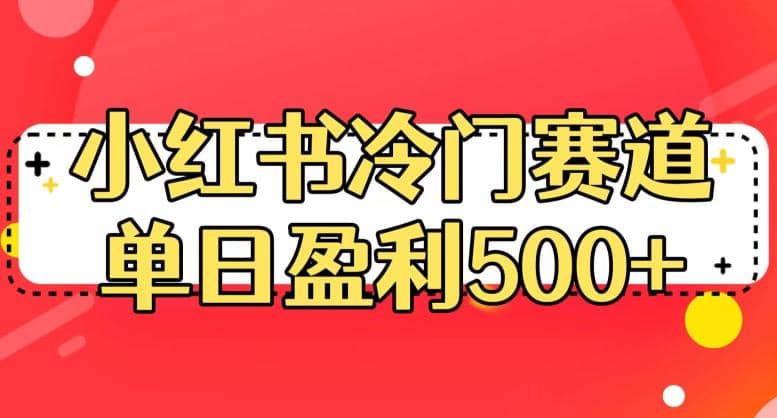 小红书冷门赛道，单日盈利500+【揭秘】-金创谷