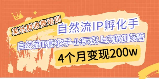 某社群收费培训：自然流IP 孵化手-14天线上实操训练营 4个月变现200w-金创谷