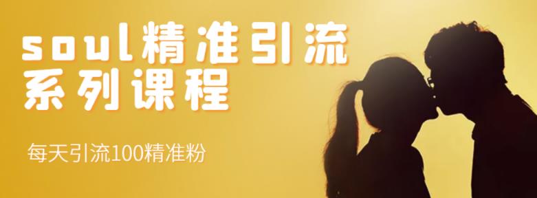 soul精准引流系列课程，每天引流100精准粉-金创谷