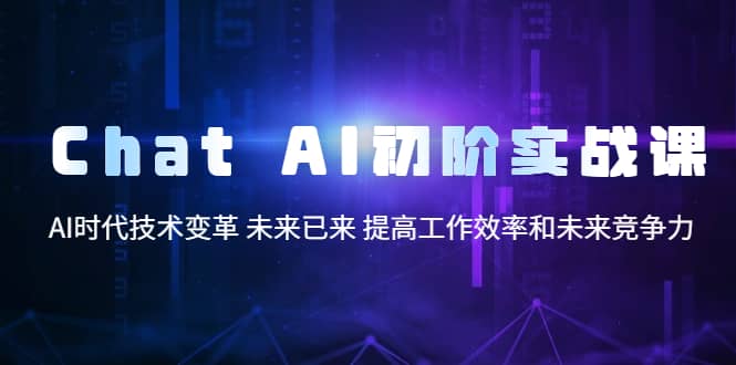 Chat AI初阶实战课，AI时代技术变革 未来已来 提高工作效率和未来竞争力-金创谷