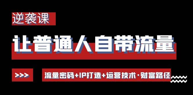 让普通人自带流量的逆袭课：流量密码+IP打造+运营技术·财富路径-金创谷