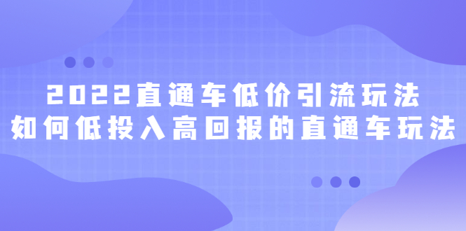 2022直通车低价引流玩法，教大家如何低投入高回报的直通车玩法-金创谷