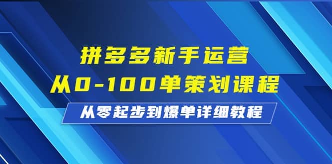 拼多多新手运营从0-100单策划课程，从零起步到爆单详细教程-金创谷