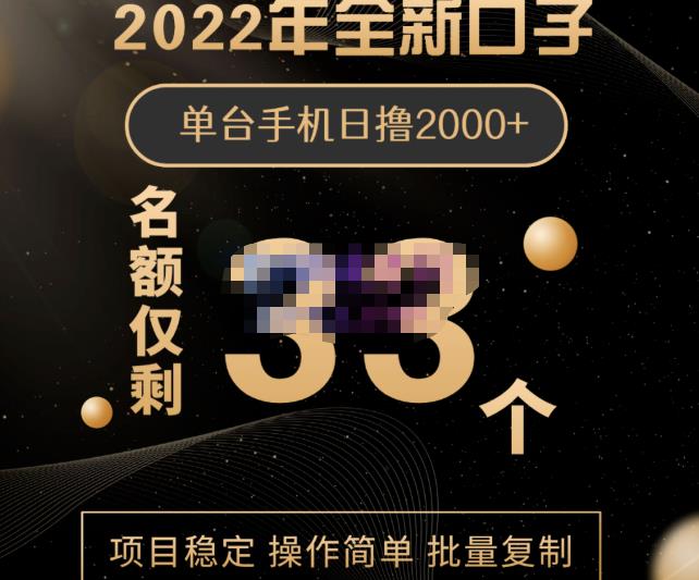 2022年全新口子，手机批量搬砖玩法，一部手机日撸2000+-金创谷