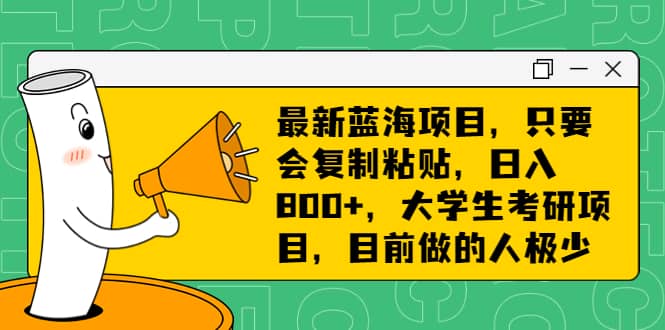 最新蓝海项目，只要会复制粘贴，日入800+，大学生考研项目，目前做的人极少-金创谷