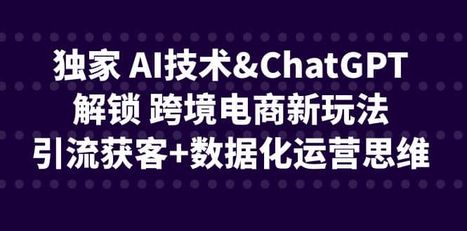 独家 AI技术ChatGPT解锁 跨境电商新玩法，引流获客+数据化运营思维-金创谷
