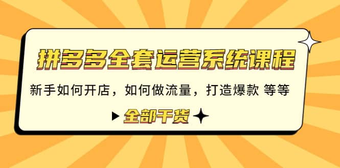 拼多多全套运营系统课程：新手如何开店 如何做流量 打造爆款 等等 全部干货-金创谷
