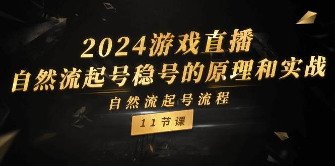 2024游戏直播-自然流起号稳号的原理和实战，自然流起号流程（11节）-金创谷