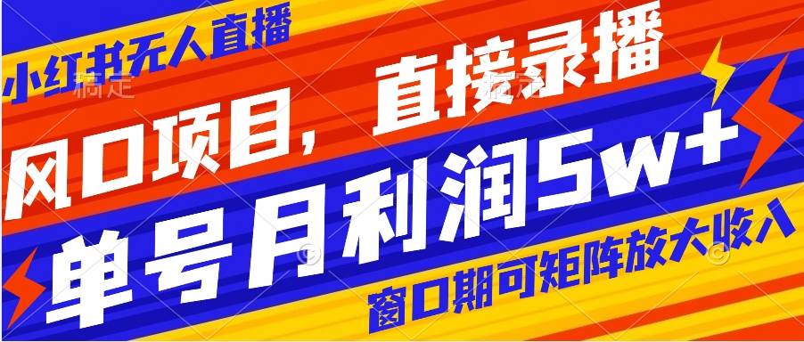 风口项目，小红书无人直播带货，直接录播，可矩阵，月入5w+-金创谷