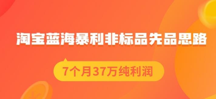 盗坤淘宝蓝海暴利非标品先品思路，7个月37万纯利润，压箱干货分享！【付费文章】-金创谷