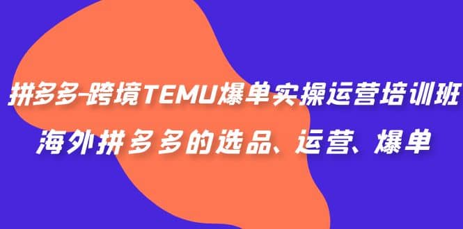 拼多多-跨境TEMU爆单实操运营培训班，海外拼多多的选品、运营、爆单-金创谷