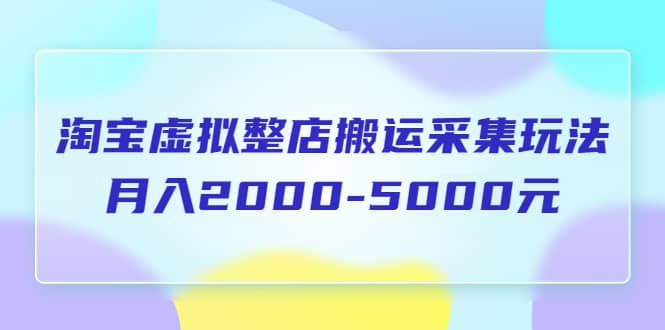 淘宝虚拟整店搬运采集玩法分享课：月入2000-5000元（5节课）-金创谷