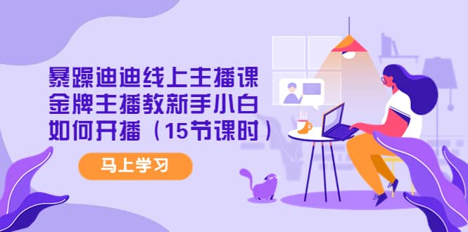 暴躁迪迪线上主播课，金牌主播教新手小白如何开播（15节课时）-金创谷