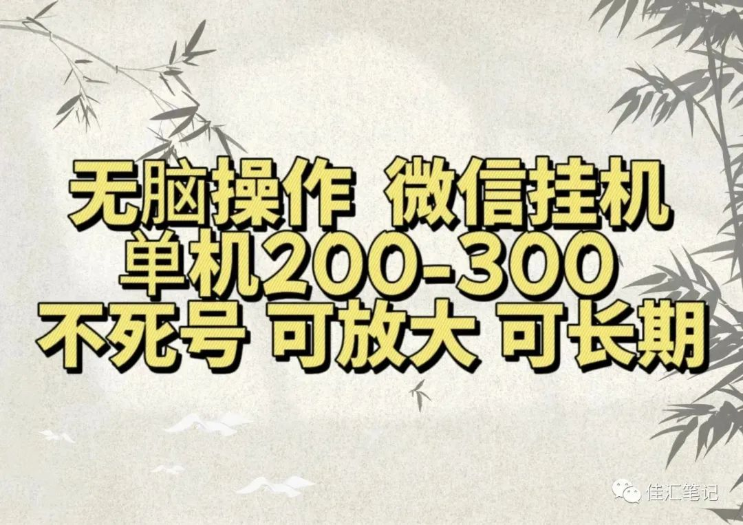 无脑操作微信视频号挂机单机200-300一天，不死号，可放大，工作室实测-金创谷