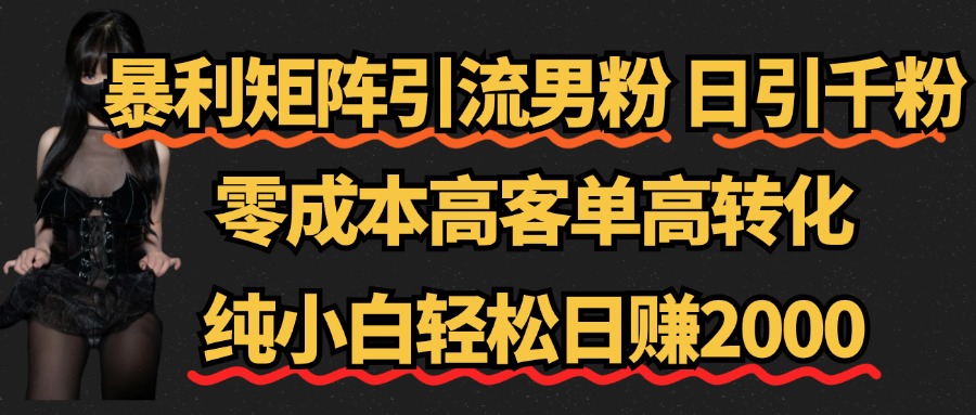 暴利矩阵引流男粉（日引千粉），零成本高客单高转化，纯小白轻松日赚2000+-金创谷