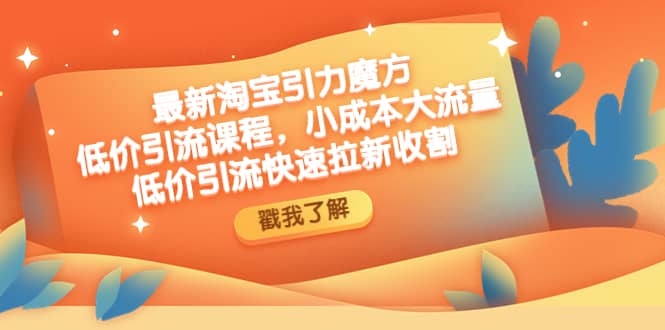 最新淘宝引力魔方低价引流实操：小成本大流量-金创谷