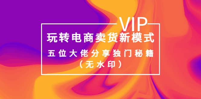 某收费培训：玩转电商卖货新模式，五位大佬分享独门秘籍（无水印）-金创谷