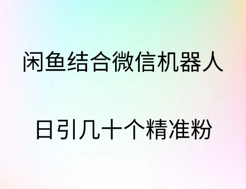 闲鱼结合微信机器人，日引几十个精准粉-金创谷