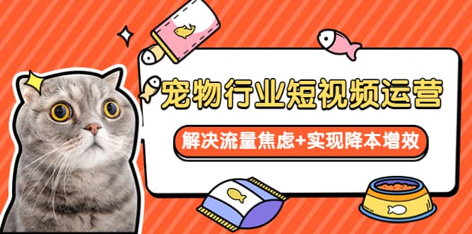 宠物/行业短视频运营 流量增长的一层窗户纸 解决流量焦虑+实现降本增效-金创谷