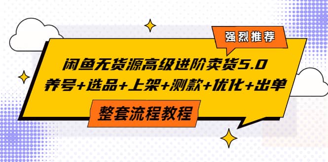 闲鱼无货源高级进阶卖货5.0，养号+选品+上架+测款+优化+出单整套流程教程-金创谷