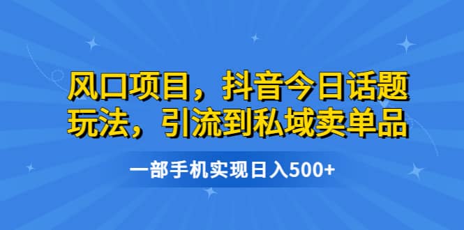风口项目，抖音今日话题玩法，引流到私域卖单品，一部手机实现日入500+-金创谷