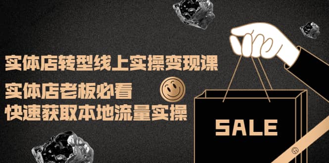 实体店转型线上实操变现课：实体店老板必看，快速获取本地流量实操-金创谷