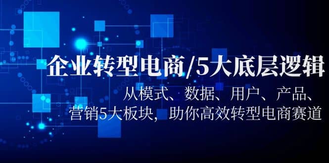 企业转型电商/5大底层逻辑，从模式 数据 用户 产品 营销5大板块，高效转型-金创谷