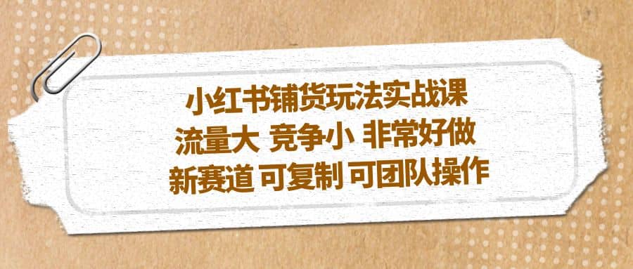小红书铺货玩法实战课，流量大 竞争小 非常好做 新赛道 可复制 可团队操作-金创谷